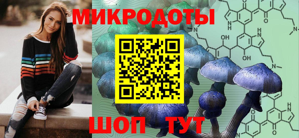 Южноуральск  Псилоцибиновые грибы мицелий  Вход с VPN 